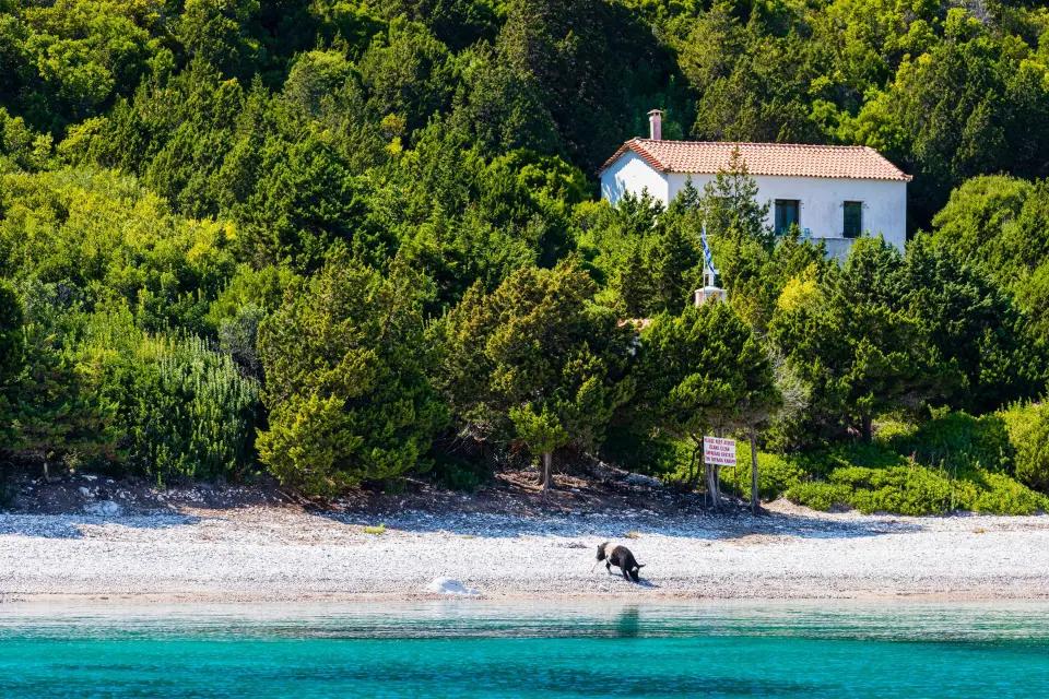 One House Bay plaža