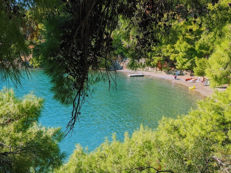 Uvala okružena borovom šumom